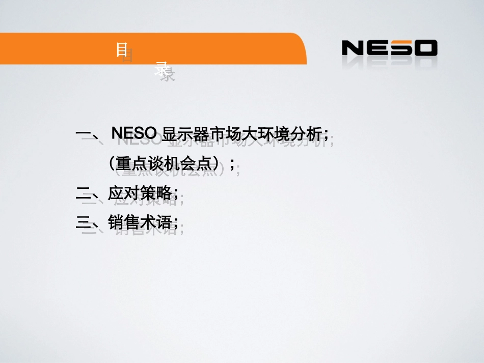 NESO显示器培训资料_第2页