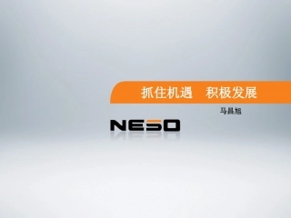 NESO显示器培训资料