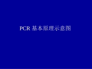 PCR基本原理示意图资料