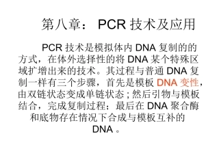 PCR扩增原理及过程