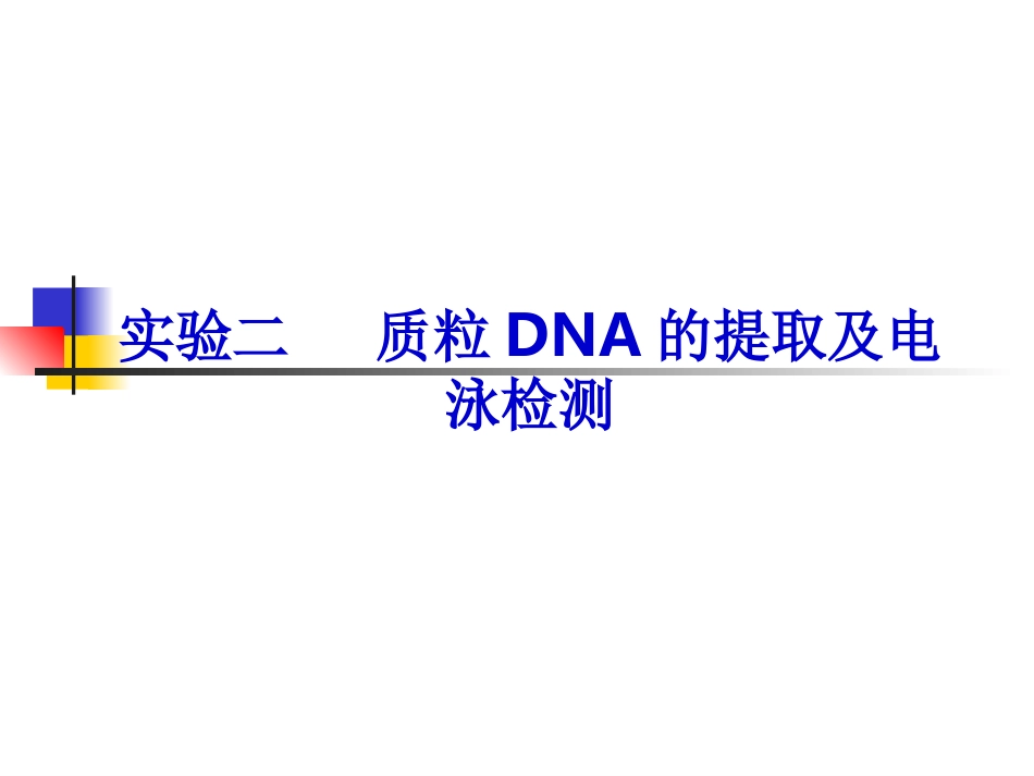PCR实验教程_第1页