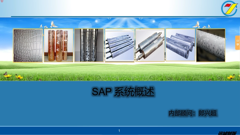 SAP系统概述_第1页