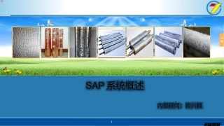SAP系统概述