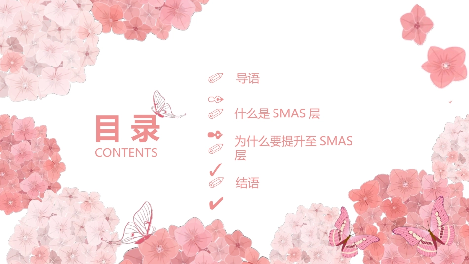 SMAS筋膜悬吊术拉皮手术_第2页