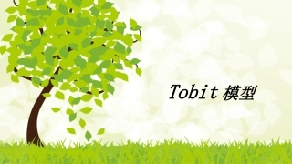 tobit模型