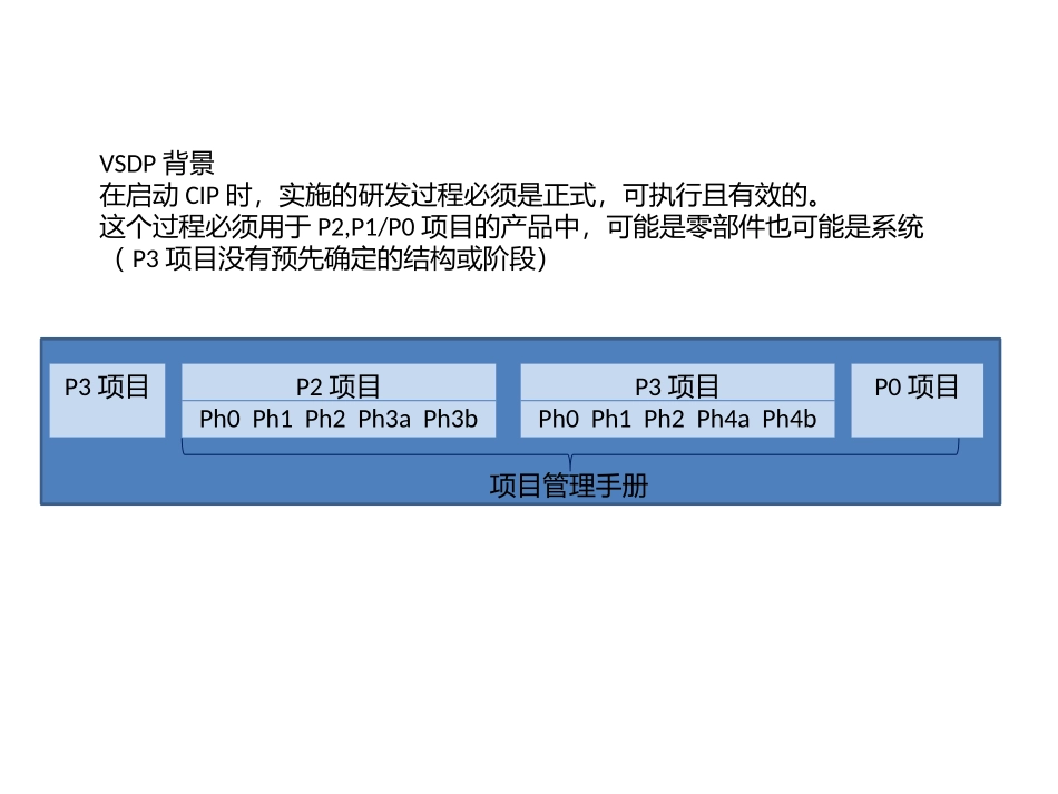 Valeo项目管理手册简要_第1页