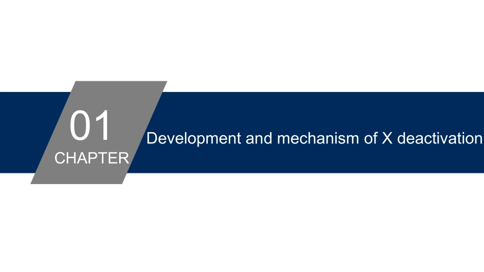 X染色体失活_第3页