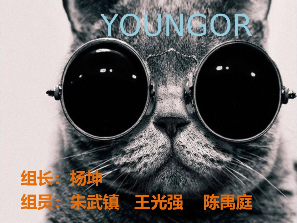 YOUNGOR雅戈尔市场分析_第1页