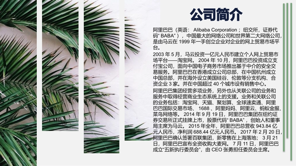 阿里巴巴财务报告分析_第3页