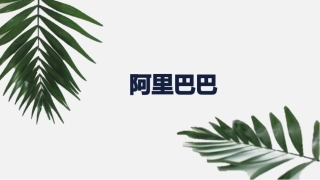 阿里巴巴财务报告分析