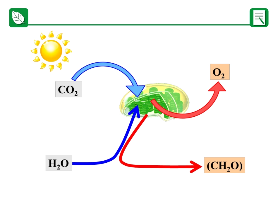 暗反应的过程_第2页