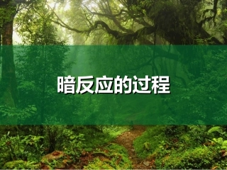 暗反应的过程