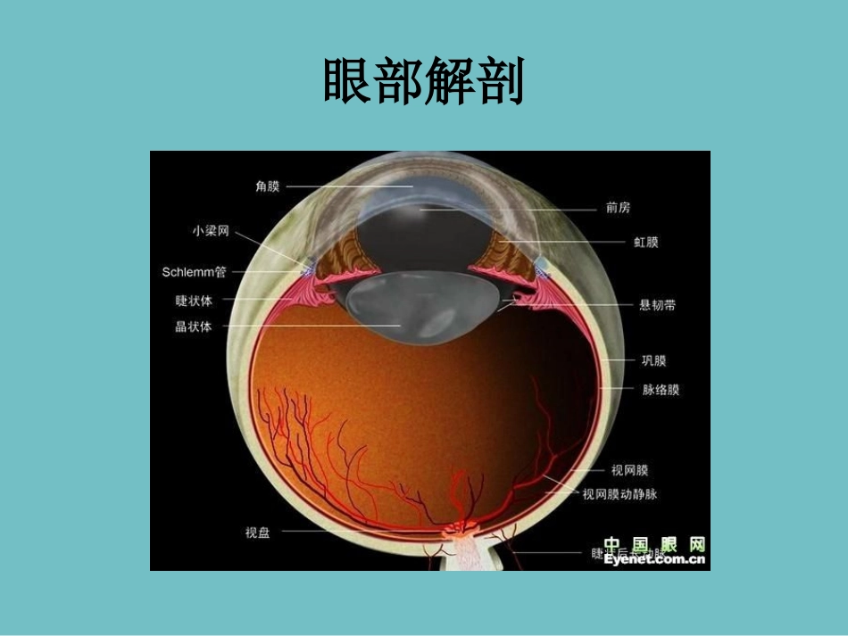 白内障手术流程_第2页