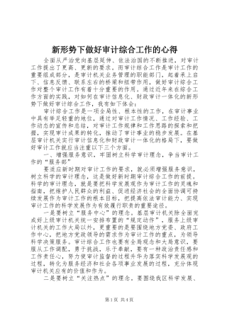 新形势下做好审计综合工作的心得