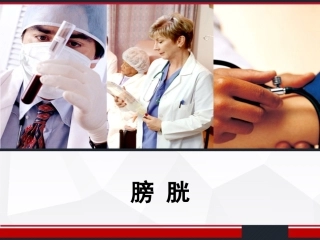 膀胱解剖及临床