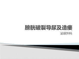 膀胱破裂导尿及造瘘