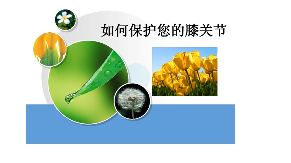 保护膝关节课件_第1页