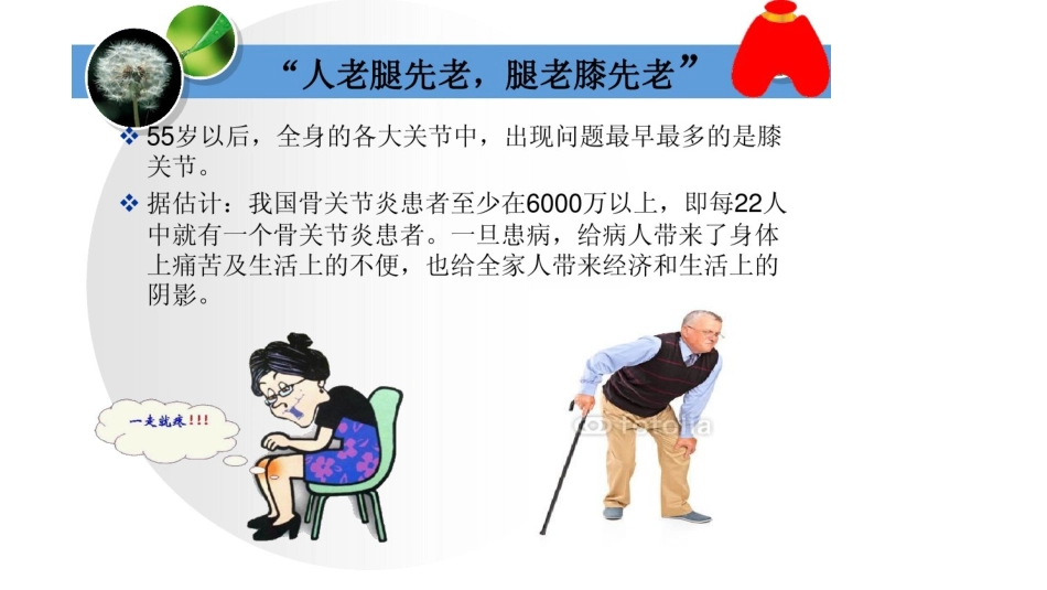 保护膝关节课件_第3页