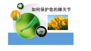 保护膝关节课件