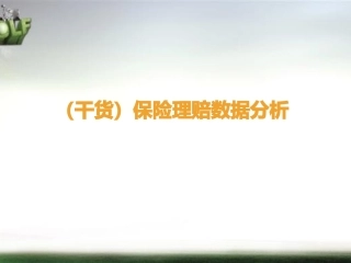 保险理赔数据分析