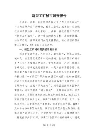 新型工矿城市调查报告