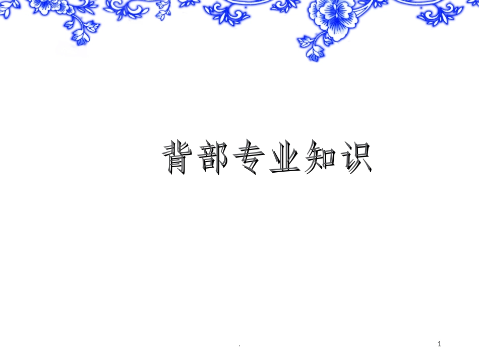 背部专业知识_第1页