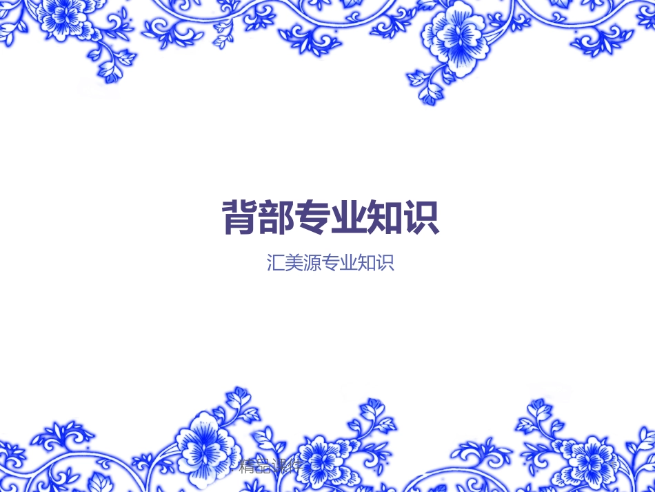 背部专业知识演示版_第1页