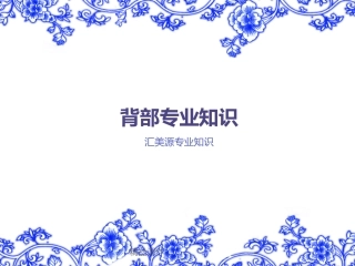 背部专业知识演示版