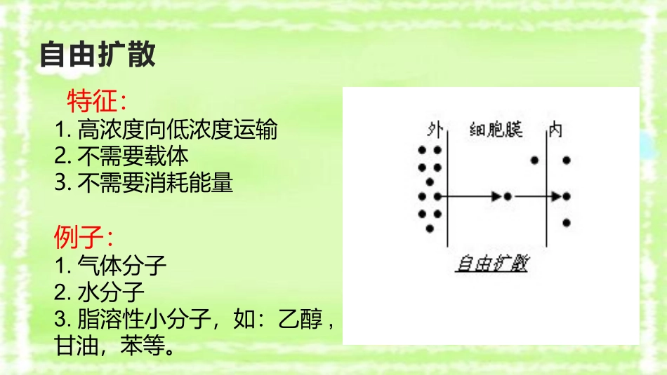被动运输和主动运输_第2页