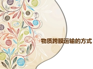 被动运输剖析