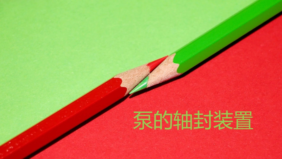 泵的轴封装置_第1页