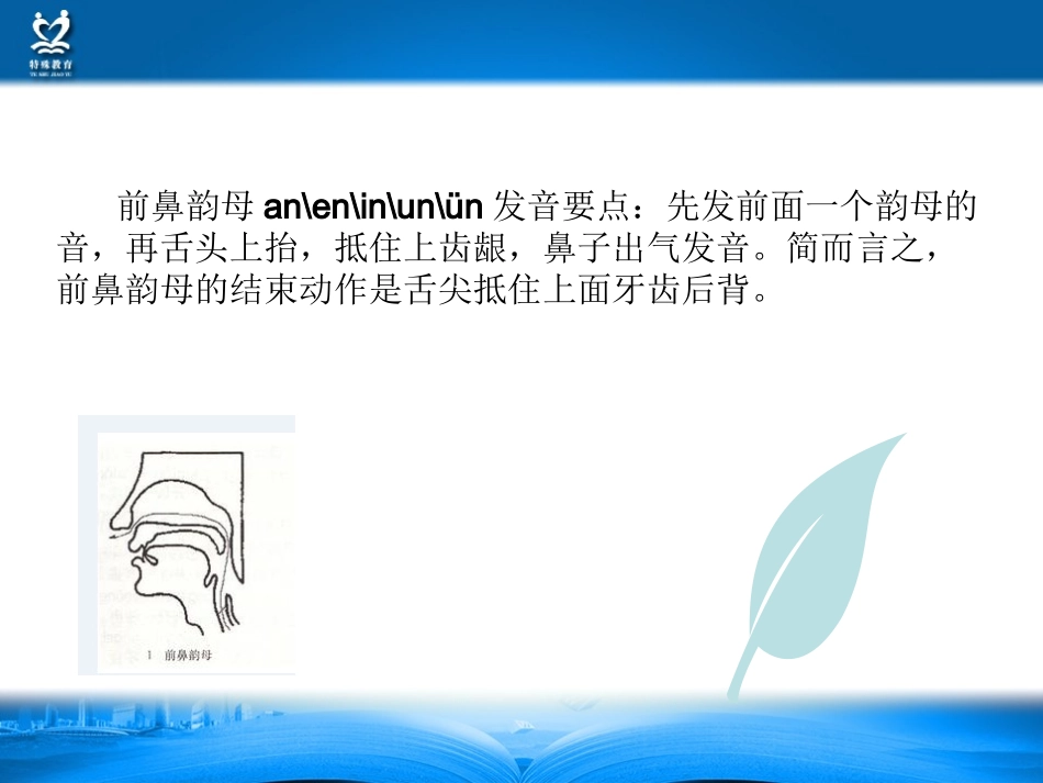 鼻韵母的发音指导建议精_第3页