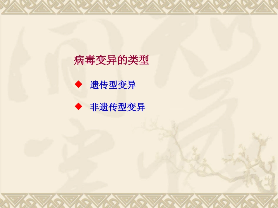 病毒的遗传及变异_第2页