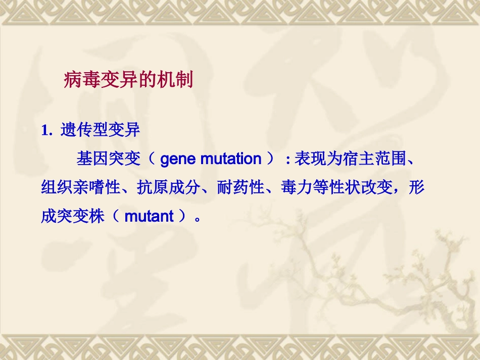 病毒的遗传及变异_第3页