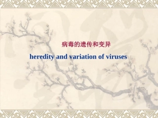病毒的遗传及变异