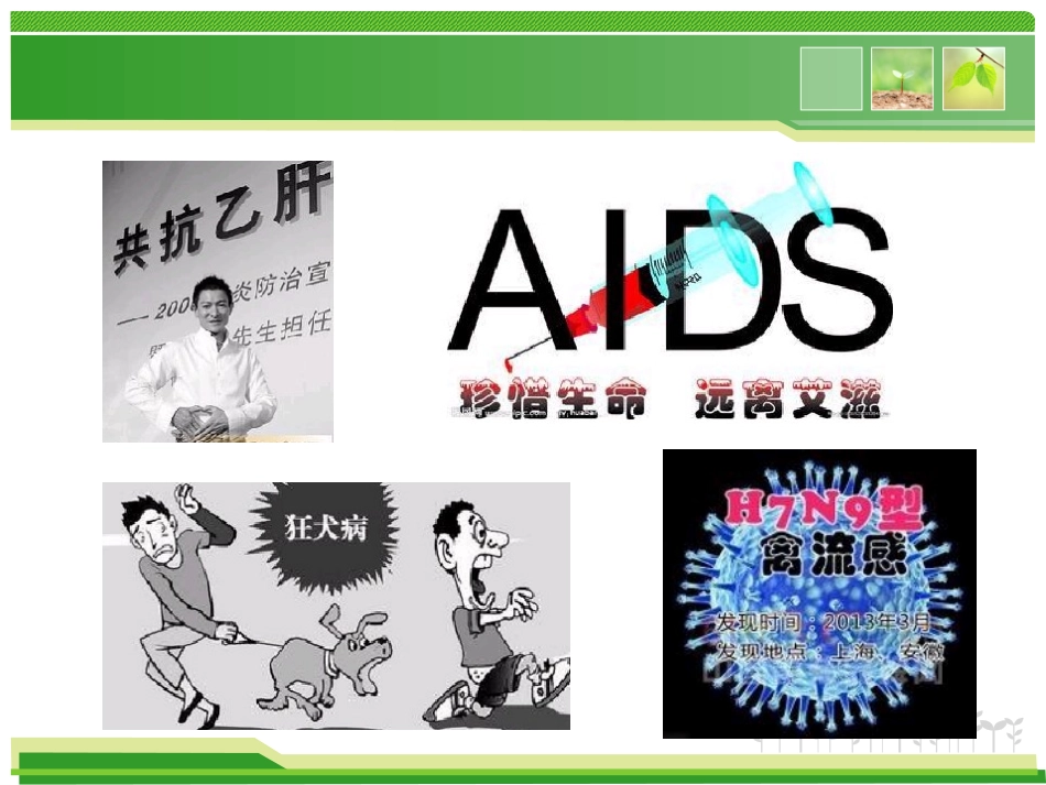 病毒形态结构_第2页