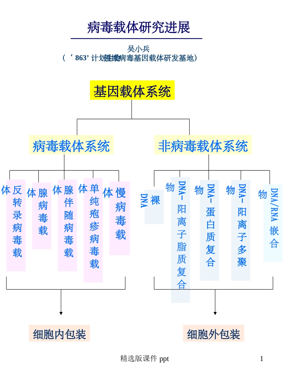 病毒载体概述_第1页