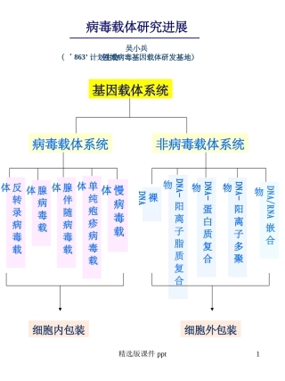 病毒载体概述