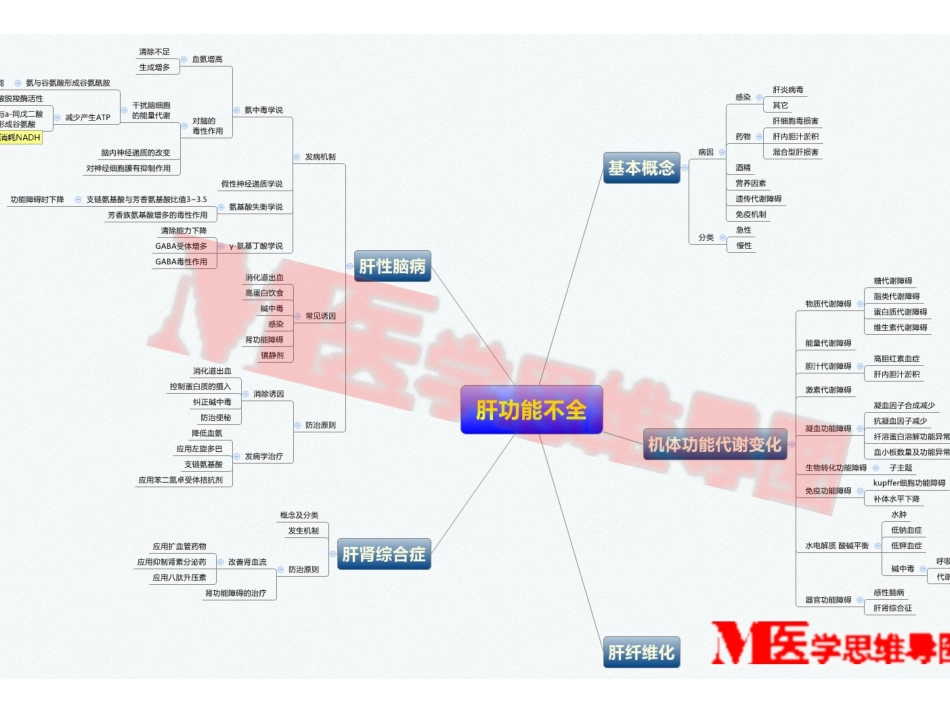 病理生理学思维导图_第2页