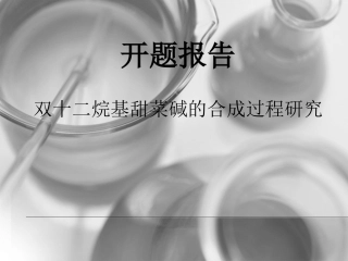 博士生开题报告