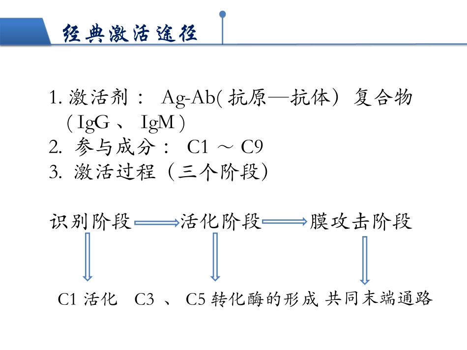 补体的激活之经典途径_第2页