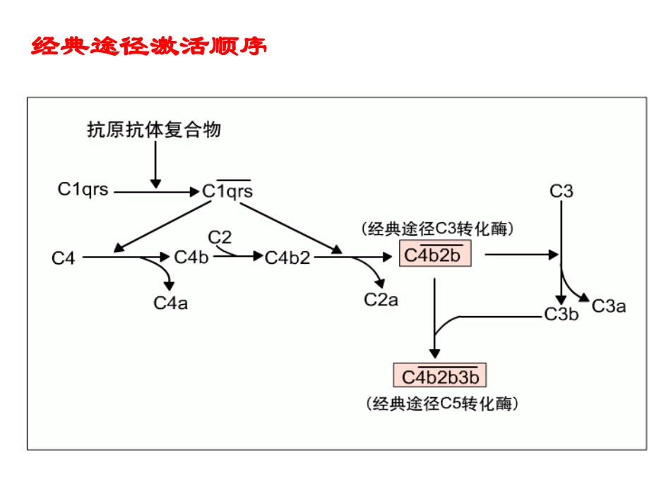 补体系统的激活_第3页