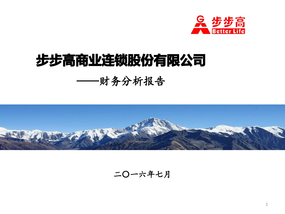 步步高集团财务分析报告财务管理角度_第1页