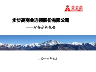 步步高集团财务分析报告财务管理角度