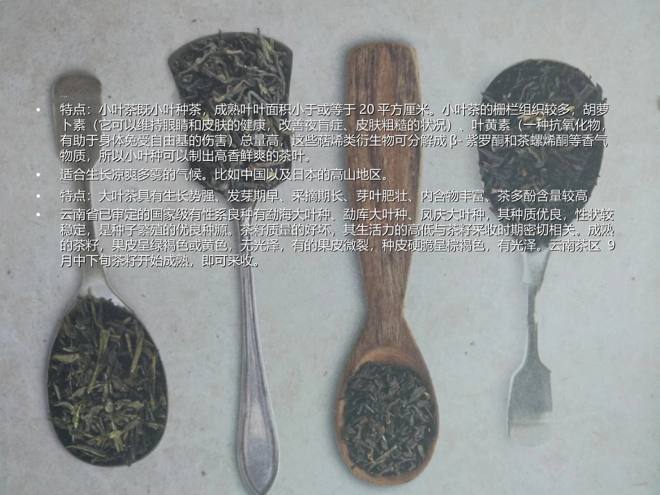 茶叶培训资料_第3页