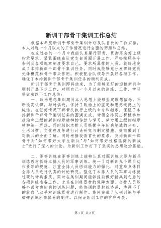 新训干部骨干集训工作总结