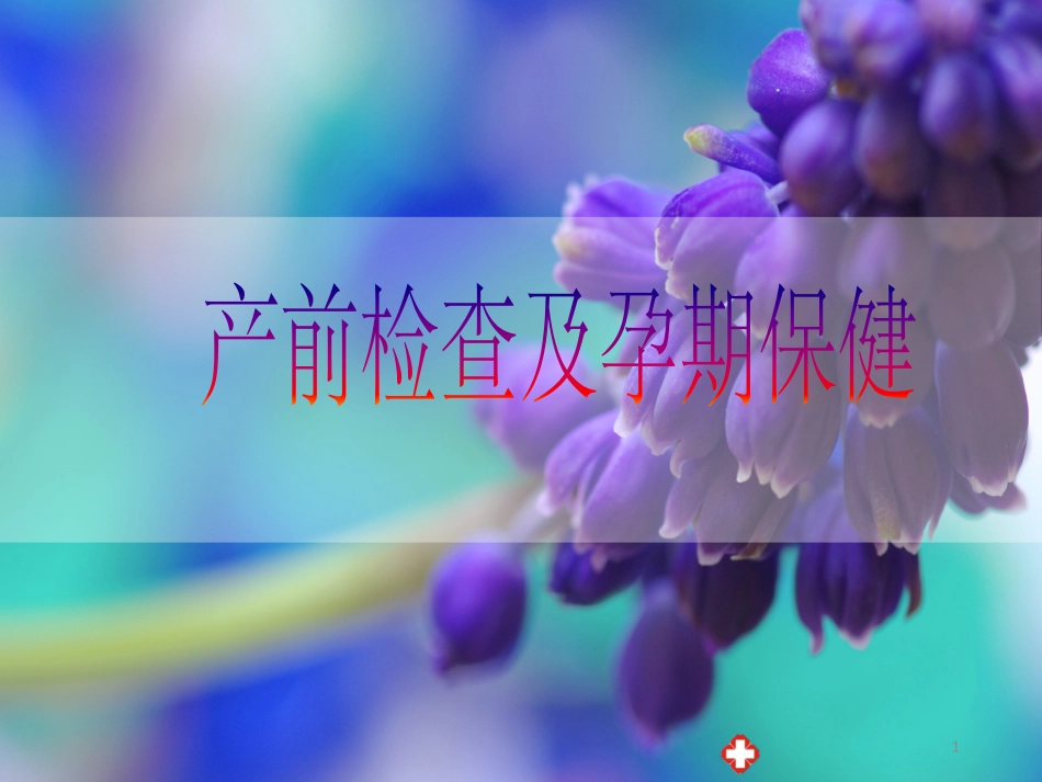 产前检查讲课_第1页