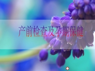 产前检查讲课