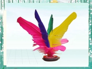 颤抖的羽毛课件