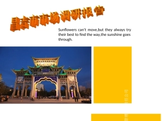 昌吉市市调报告